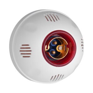 Bulb Holder & Ceiling Rose